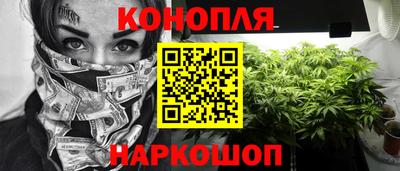 ALPHA PVP Кудрово